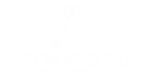 A white background with a few lines on it