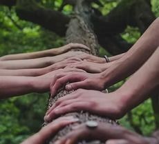 A group of people are putting their hands on a tree trunk.