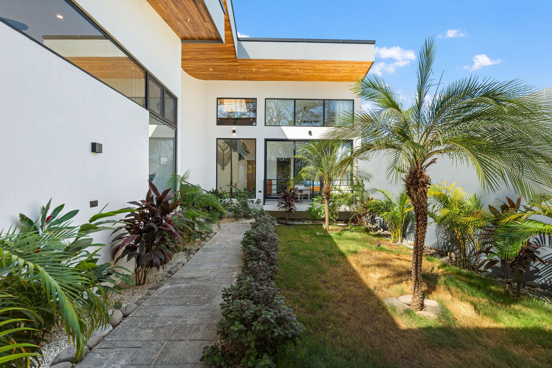 Modern white home with a pathway leading to the entrance, flanked by tropical plants and a palm tree.