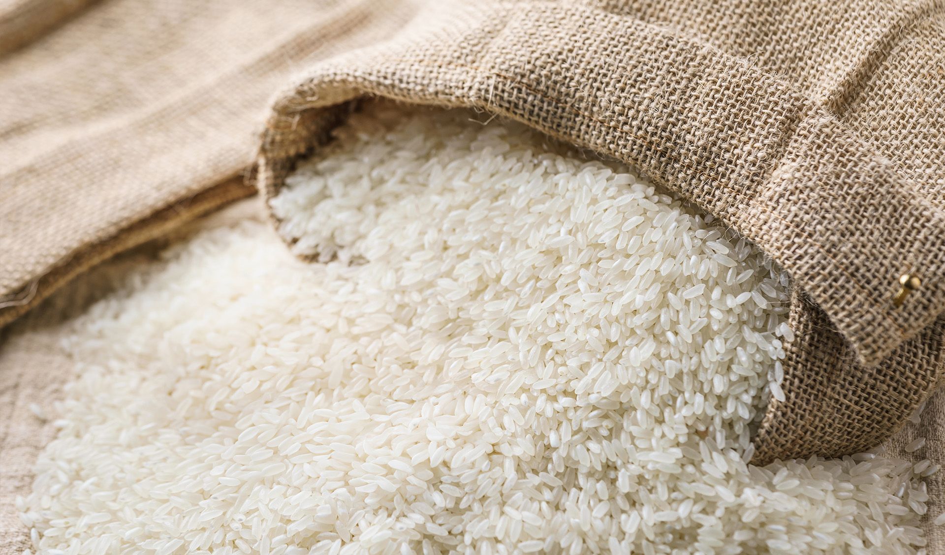 Arroz