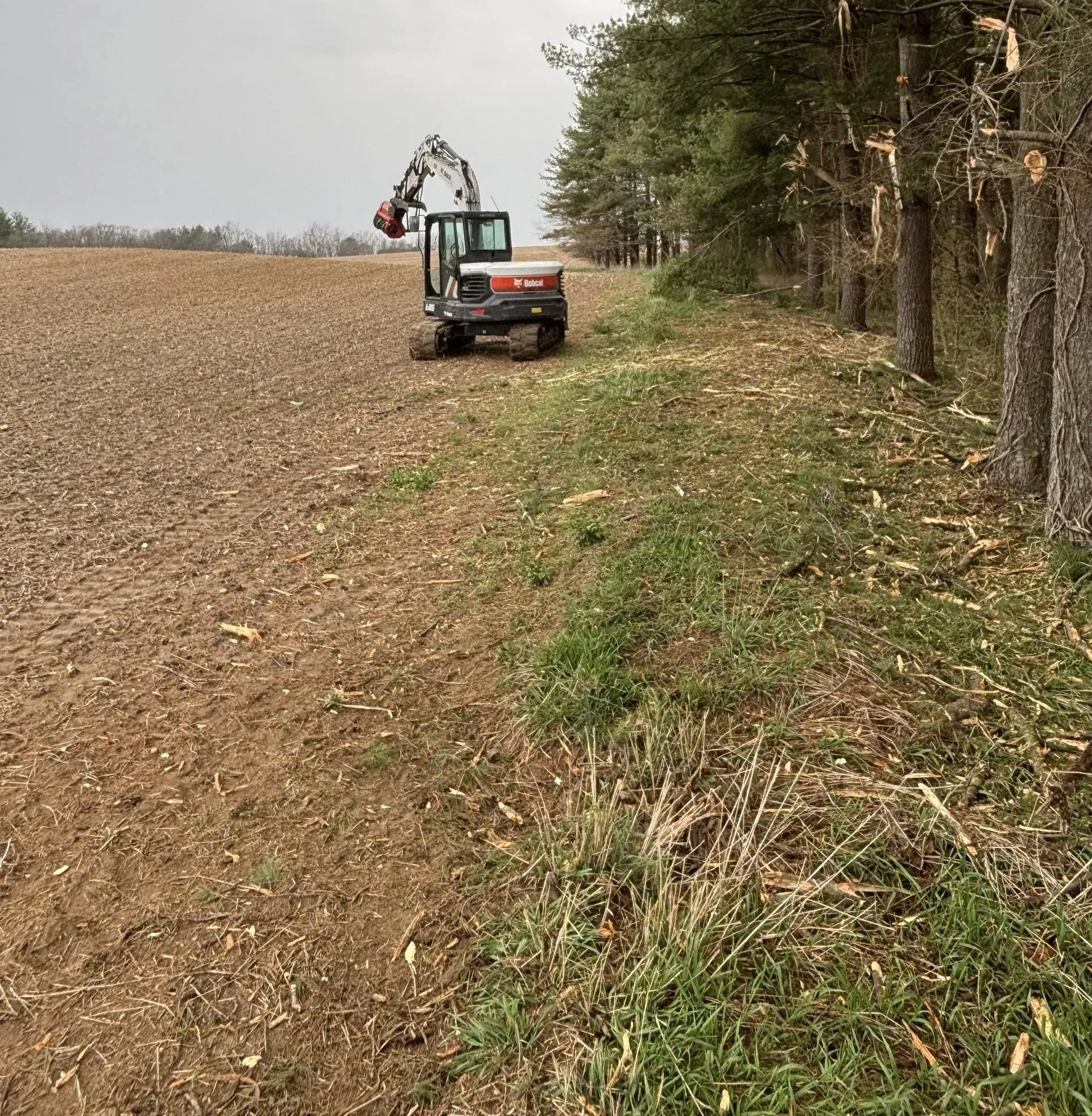 An excavator works along a tree line next to a field, likely clearing land.