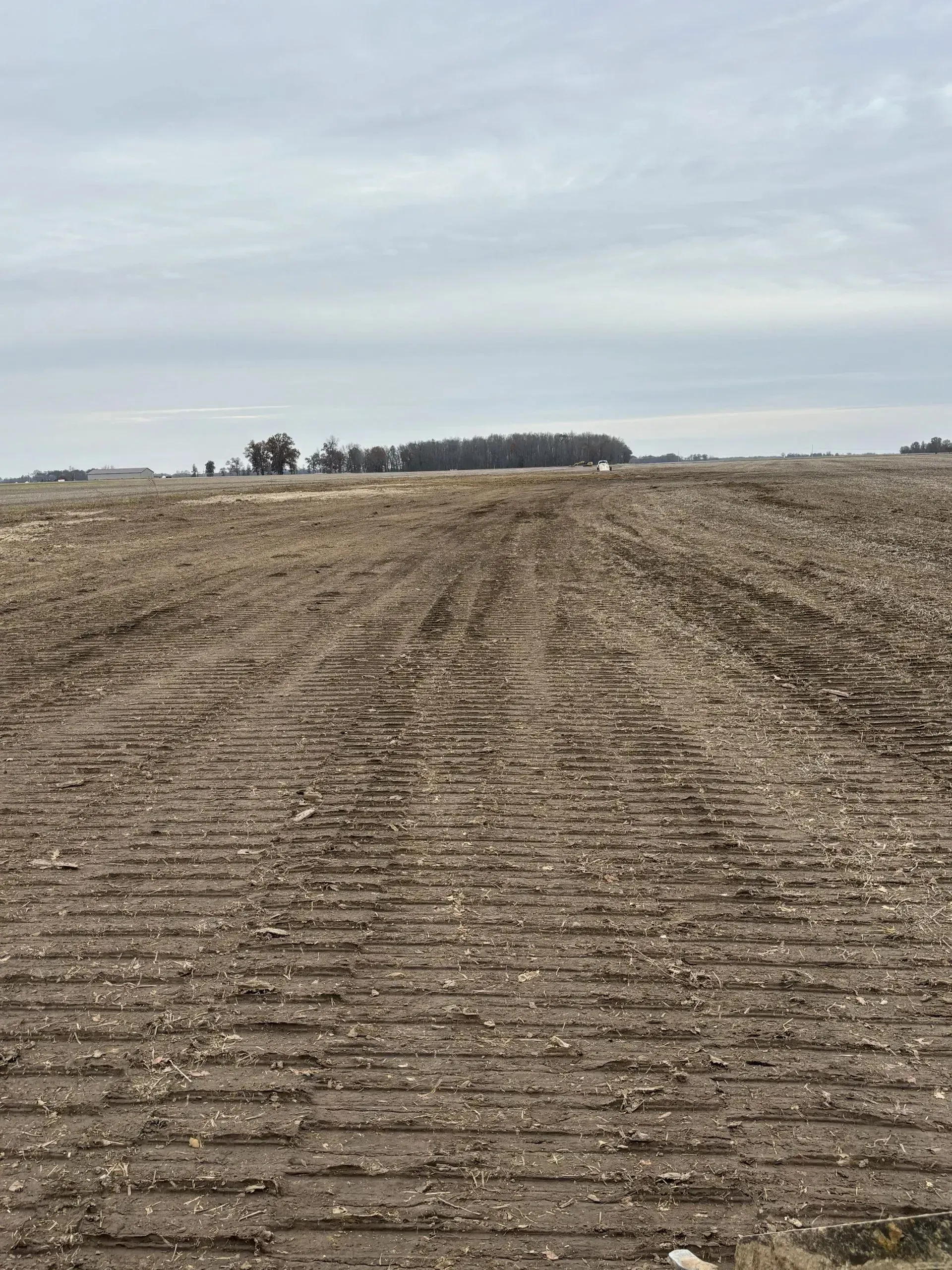 Plowed field under a cloudy sky, brown earth with visible tractor tracks, horizon with a line of trees.