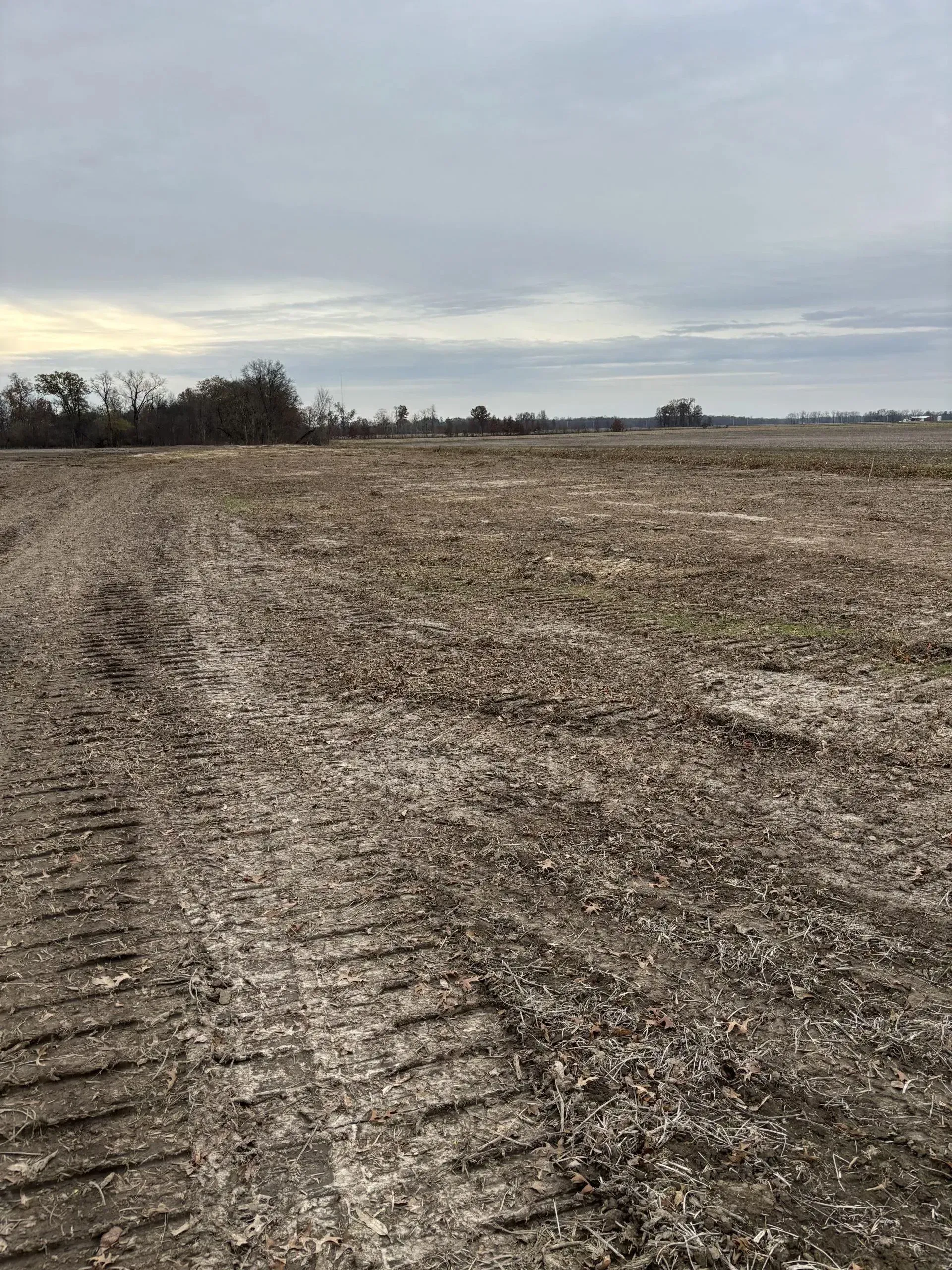 Tractor tracks in a muddy, barren field under a cloudy sky.