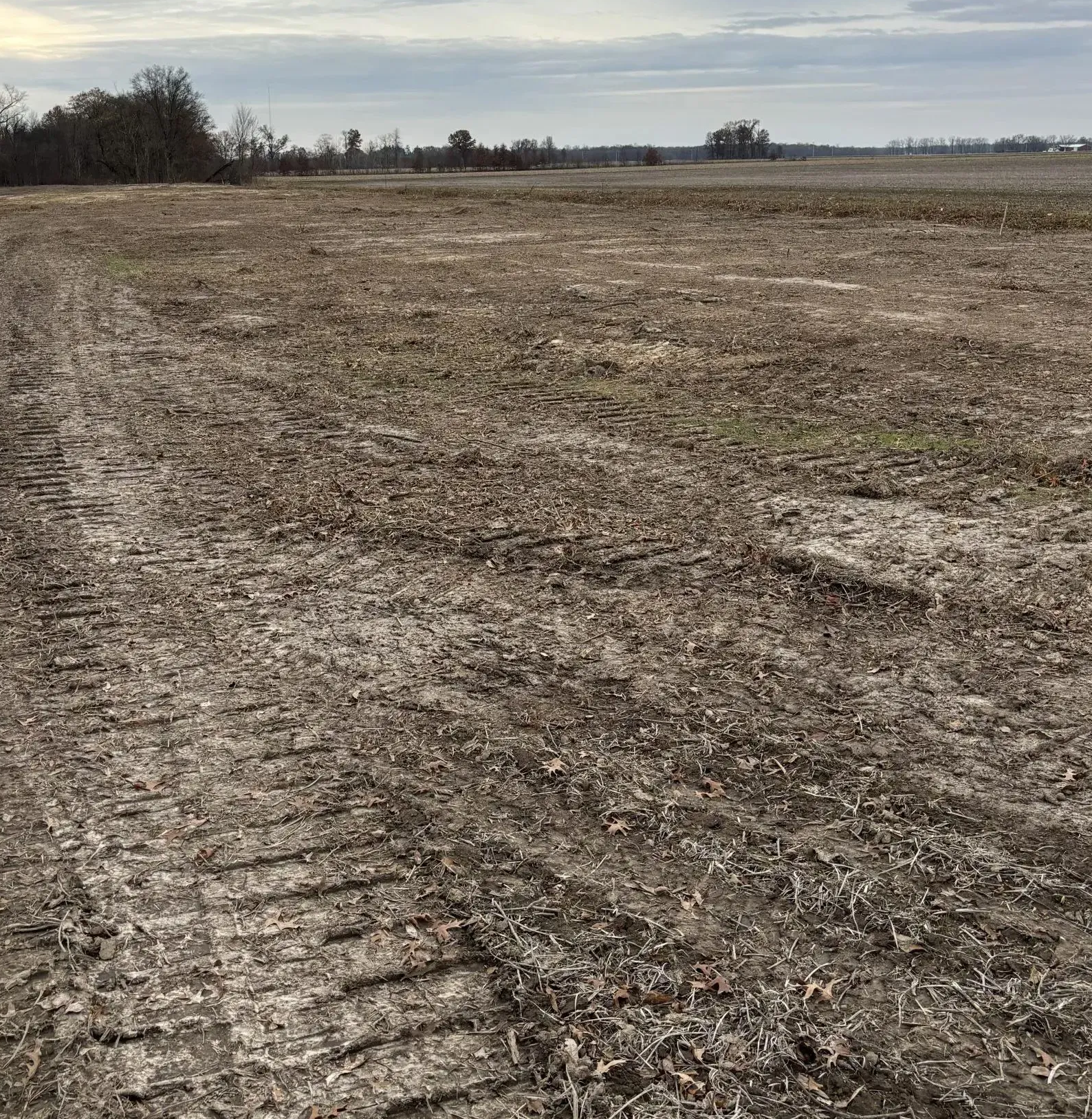 Tilled agricultural field with tractor tracks, under a cloudy sky.