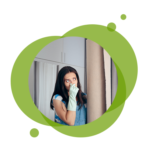 Odor Removal — Buffalo, MN — C & R Carpet Restoration Odor Removal — Buffalo, MN — C & R Carpet Restoration