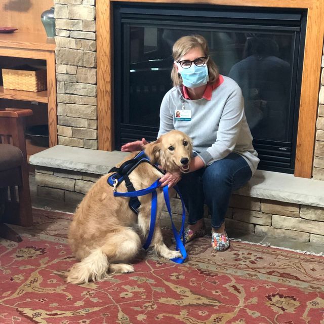 How Do I Make My Dog A Therapy Dog