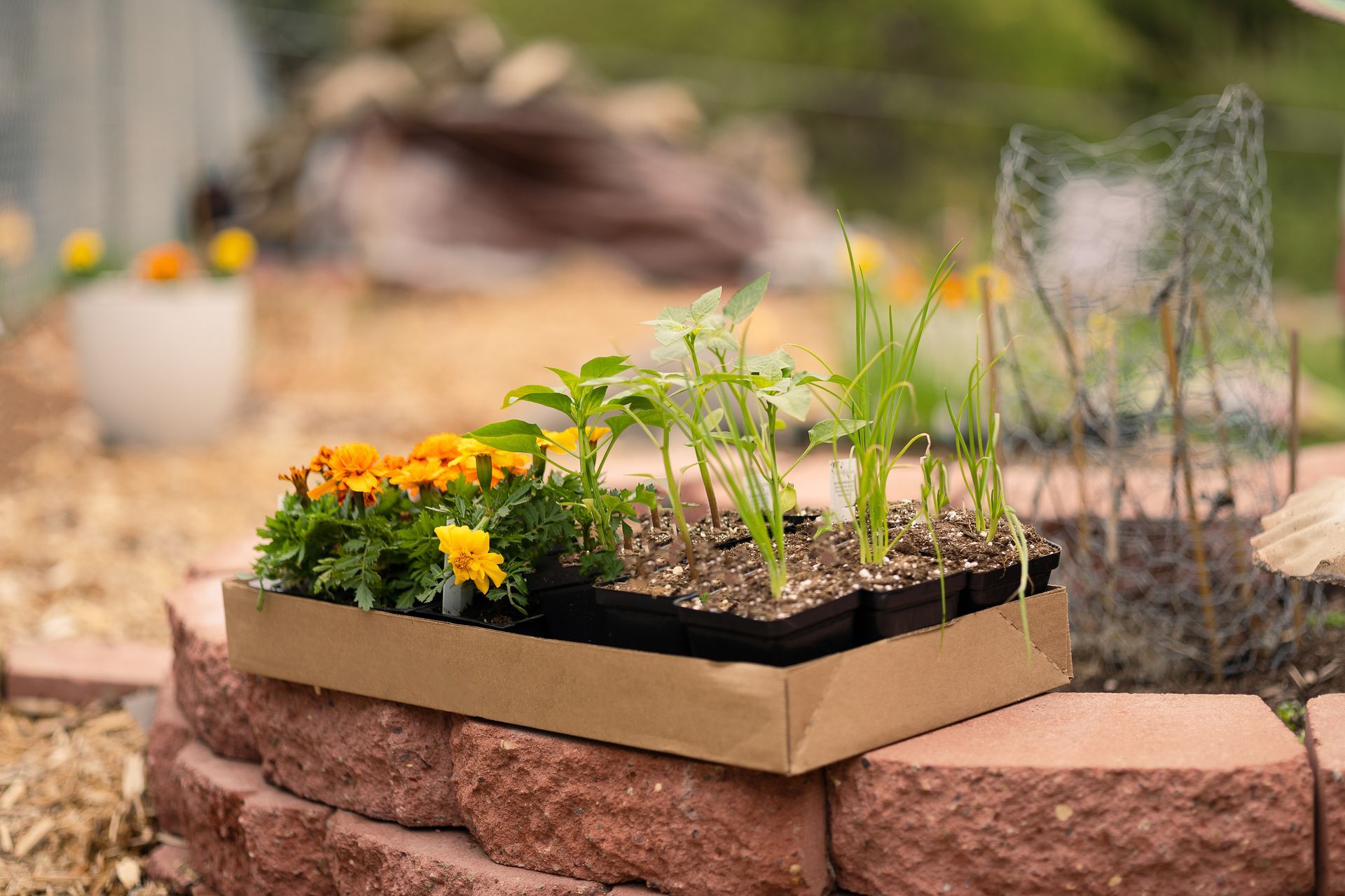 Person in green overalls trimming a green bush with a hedge trimmer outdoors.