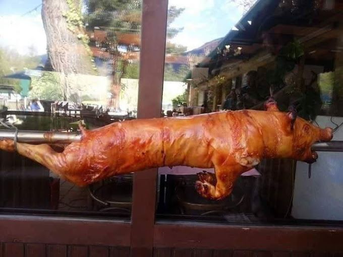 Un gros cochon rôti est suspendu à une fenêtre.