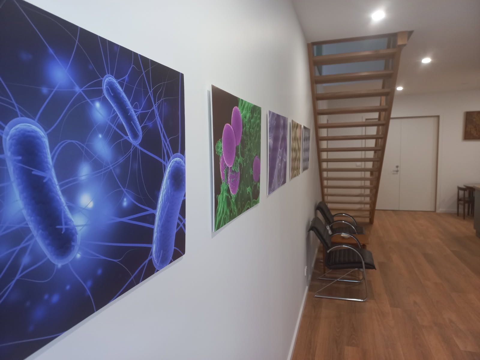 A hallway with scientific artwork on the wall, chairs for waiting, and stairs leading up.