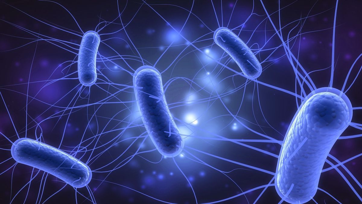 Blue bacteria with whip-like flagella against a dark, glowing background.