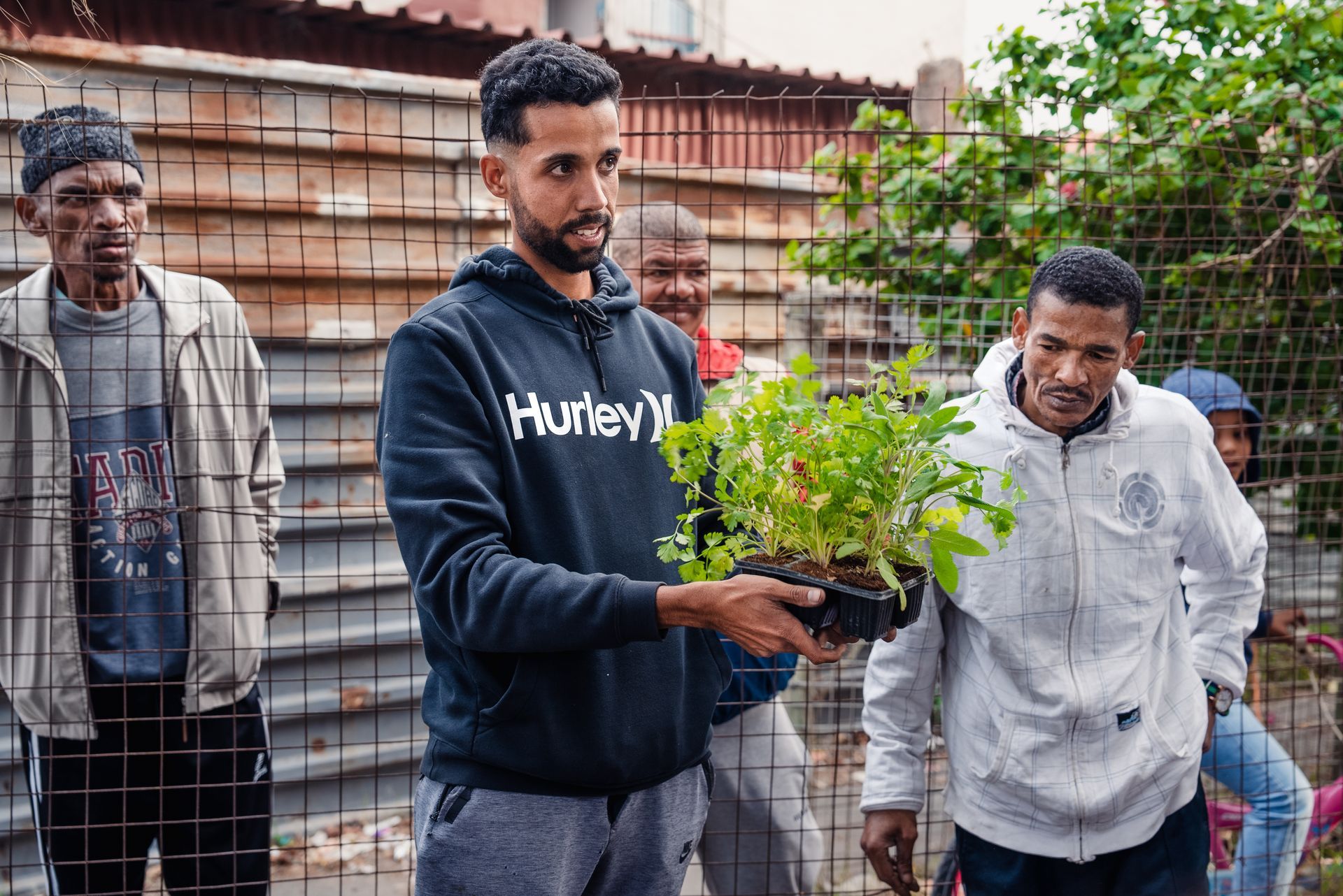 A man in a hurley sweatshirt is holding a potted plant.