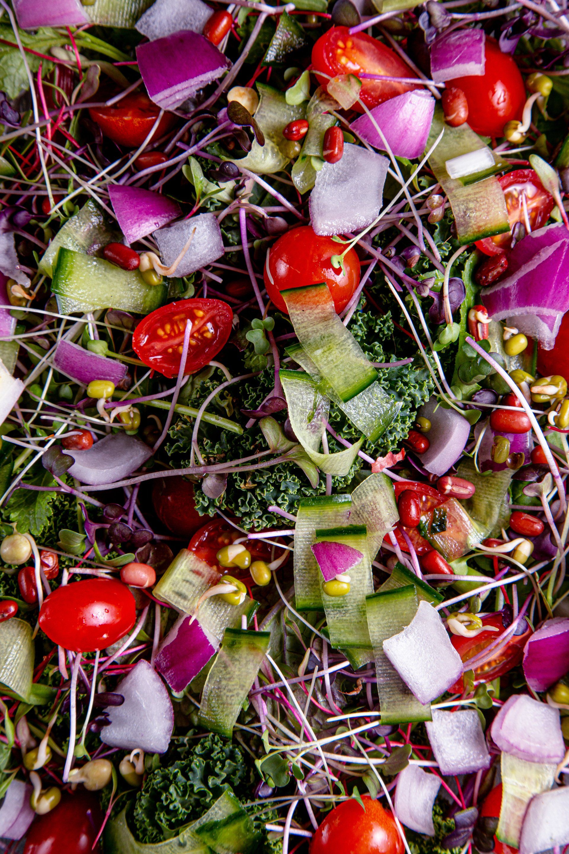 A close up of a salad with tomatoes , cucumbers , onions and sprouts.