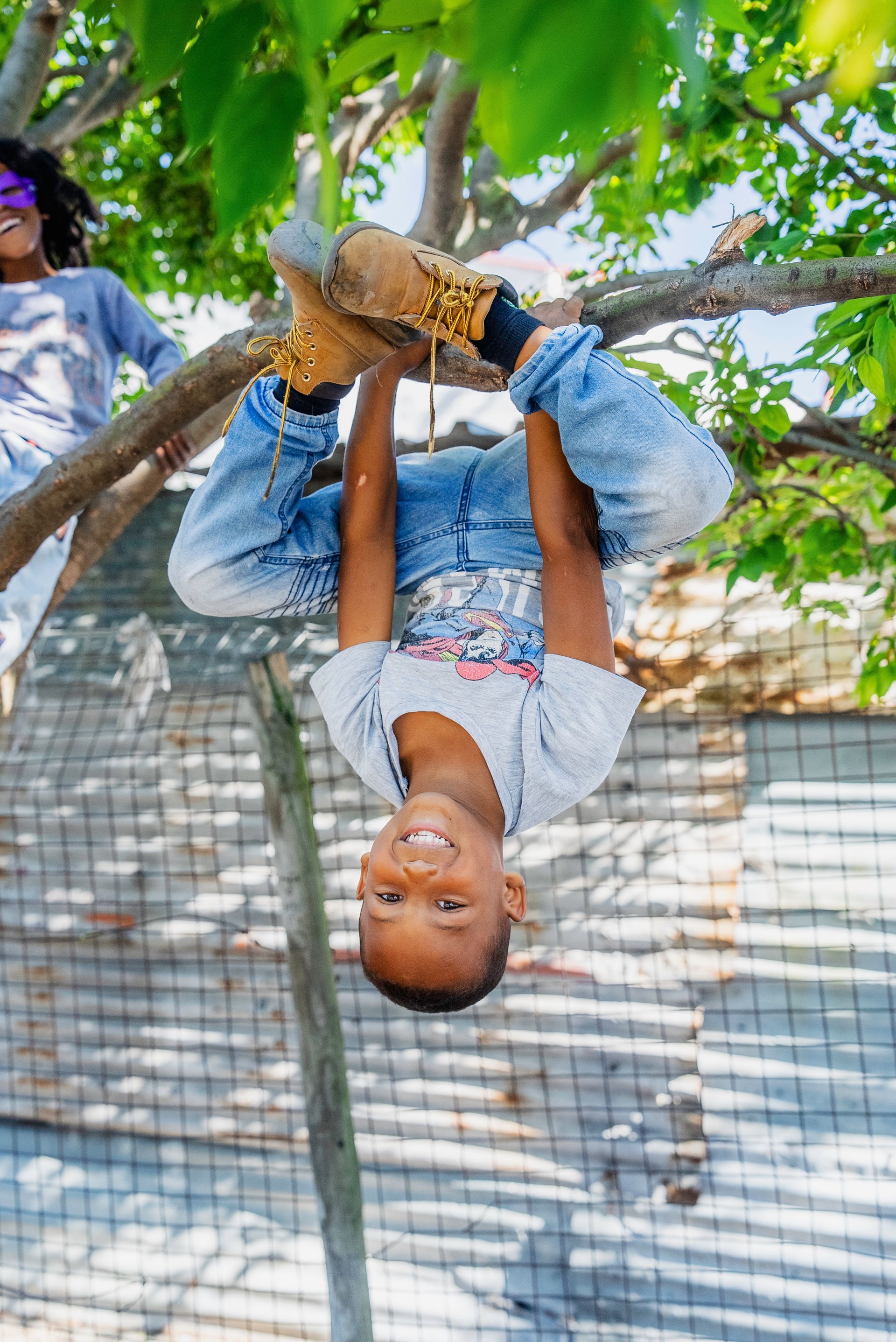A young boy is hanging upside down from a tree branch.