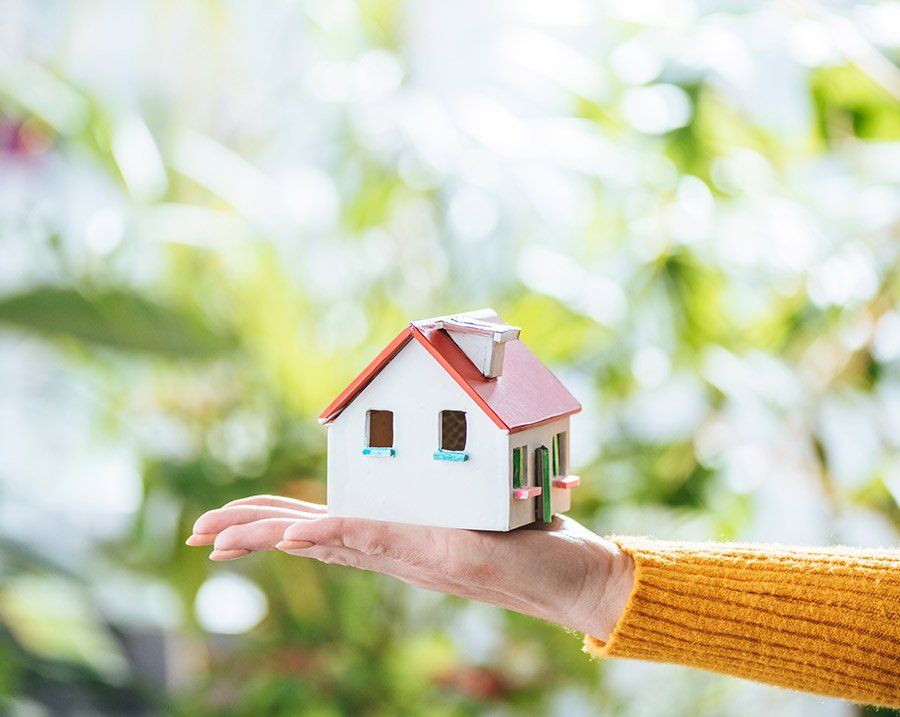 casetta nella mano di una donna