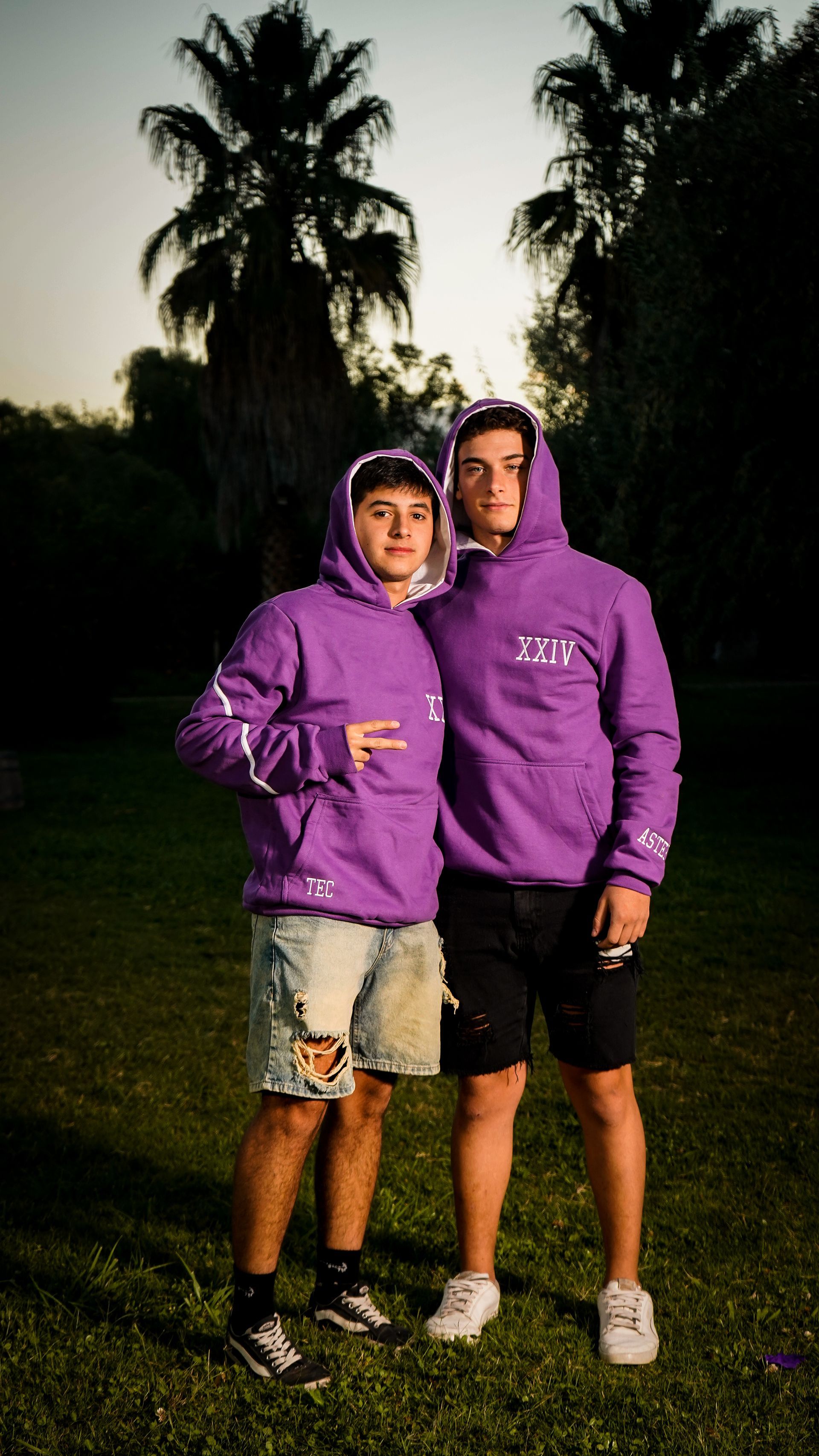 ASTER - La Consulta, San Carlos - Mendoza