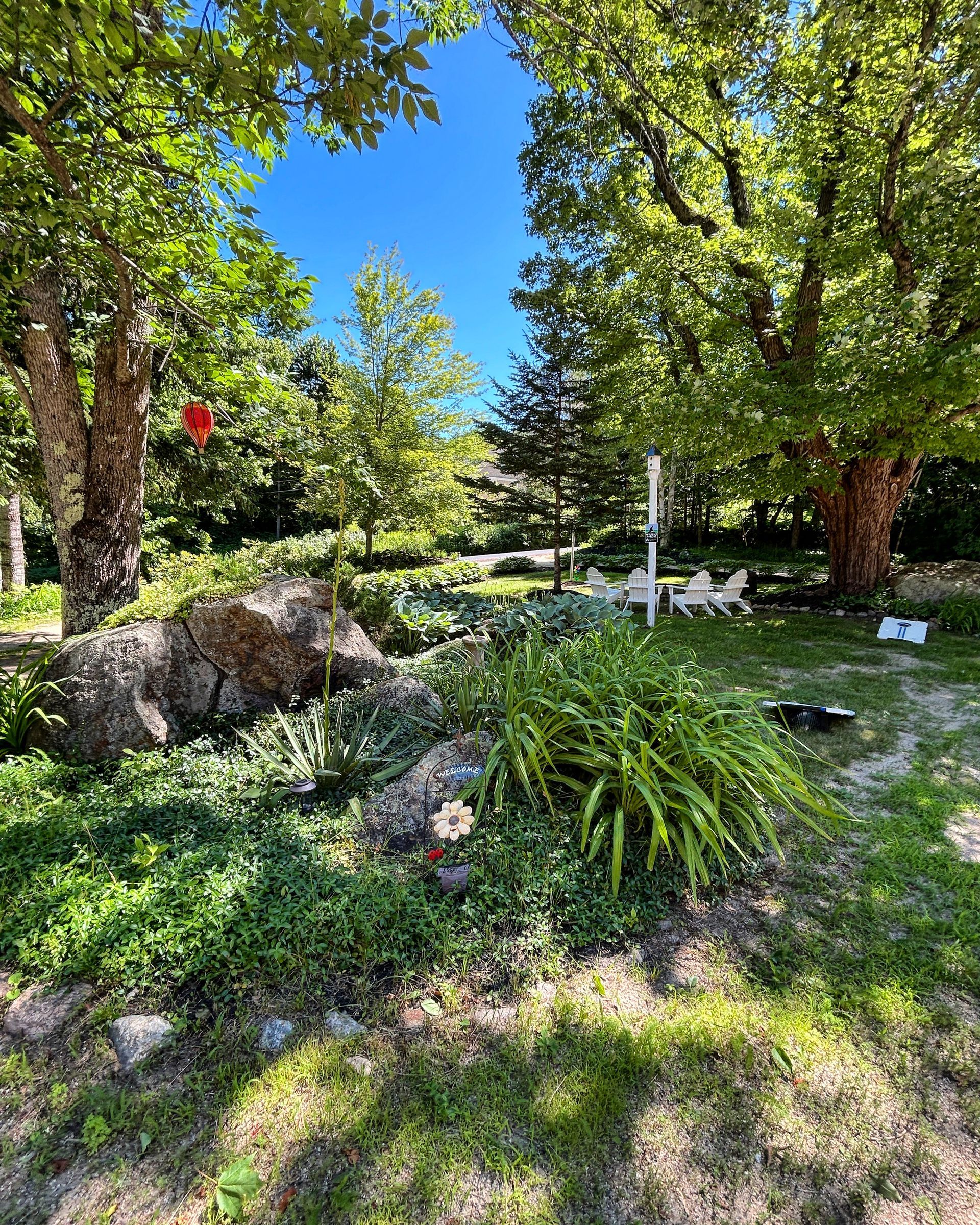 A garden filled with lots of trees and plants on a sunny day.