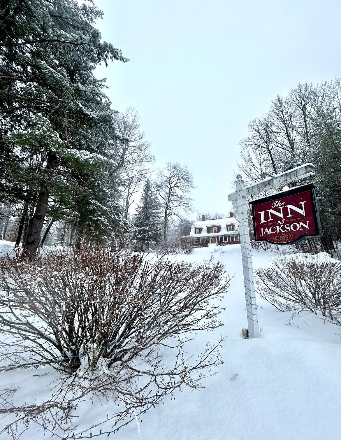 A sign for the inn is surrounded by snow and trees.