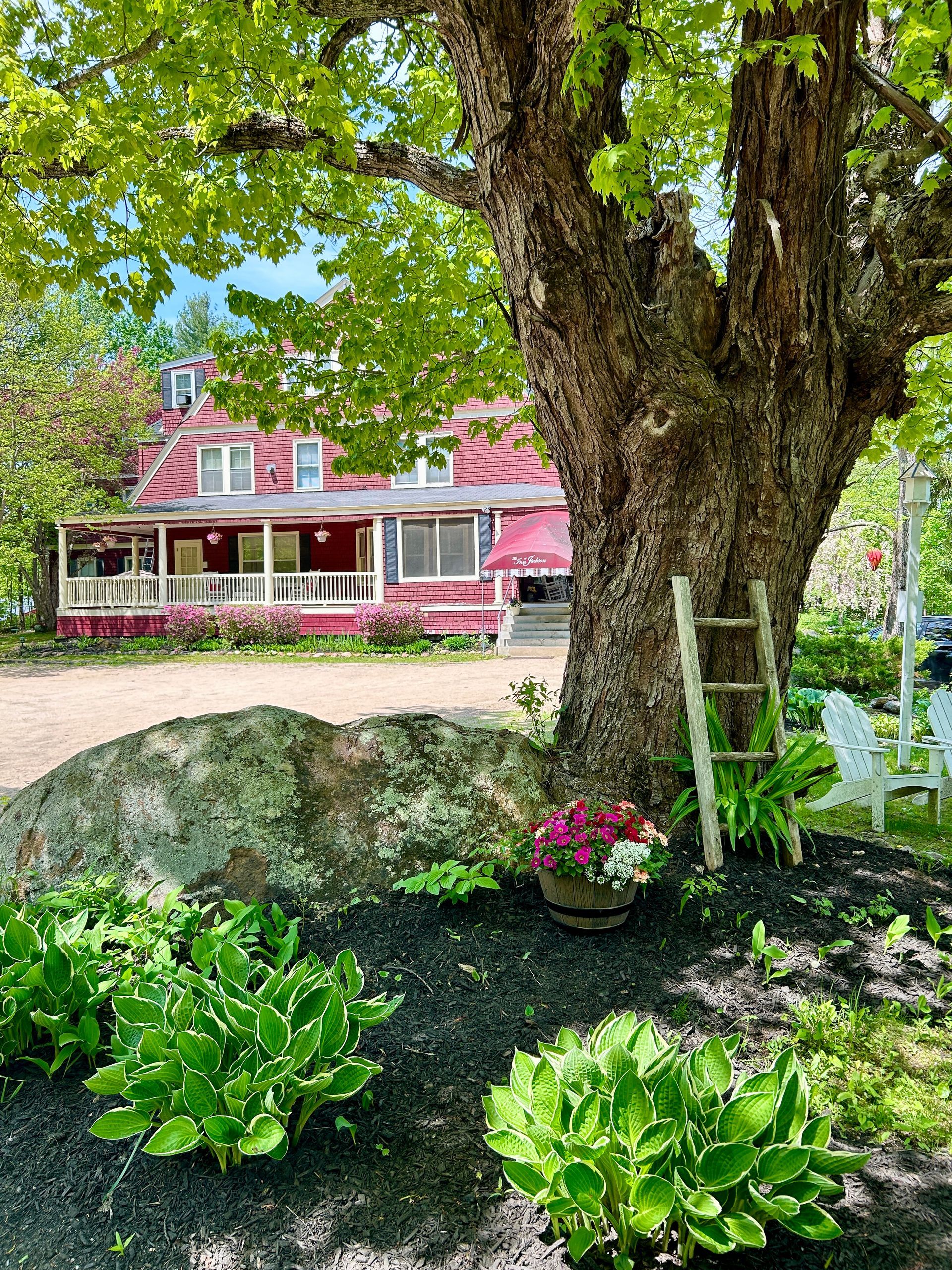A large tree in front of a red house with a porch.
