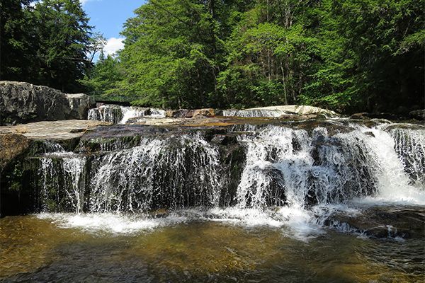 A waterfall is surrounded by trees and rocks in the middle of a forest.