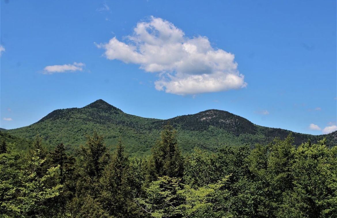 A view of a mountain range with trees in the foreground and a cloud in the sky.