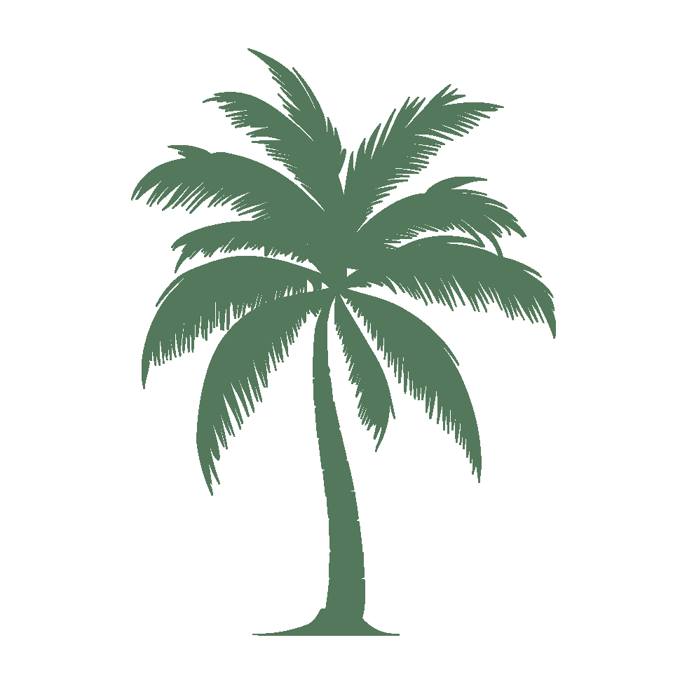 Palm tree care icon for Encinitas Tree Services