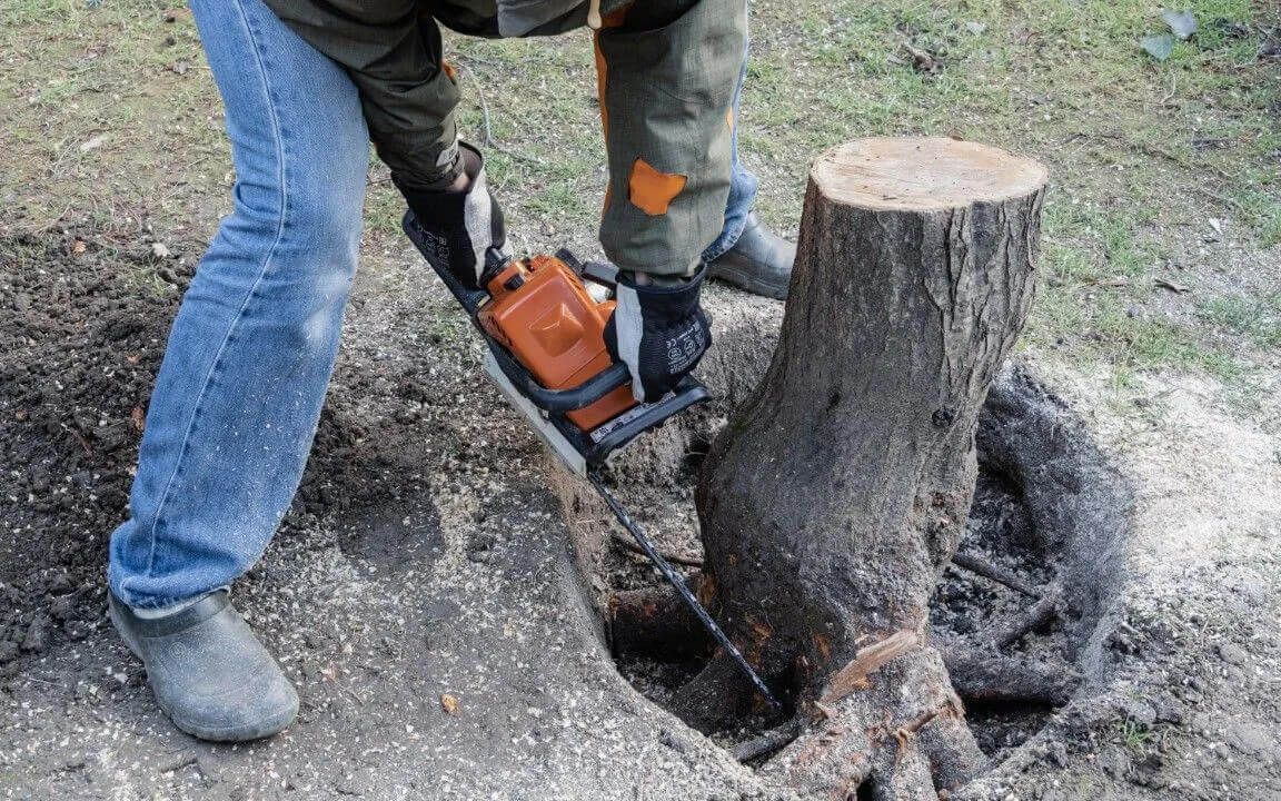 An image of s Stump Removal in Encinitas, CA