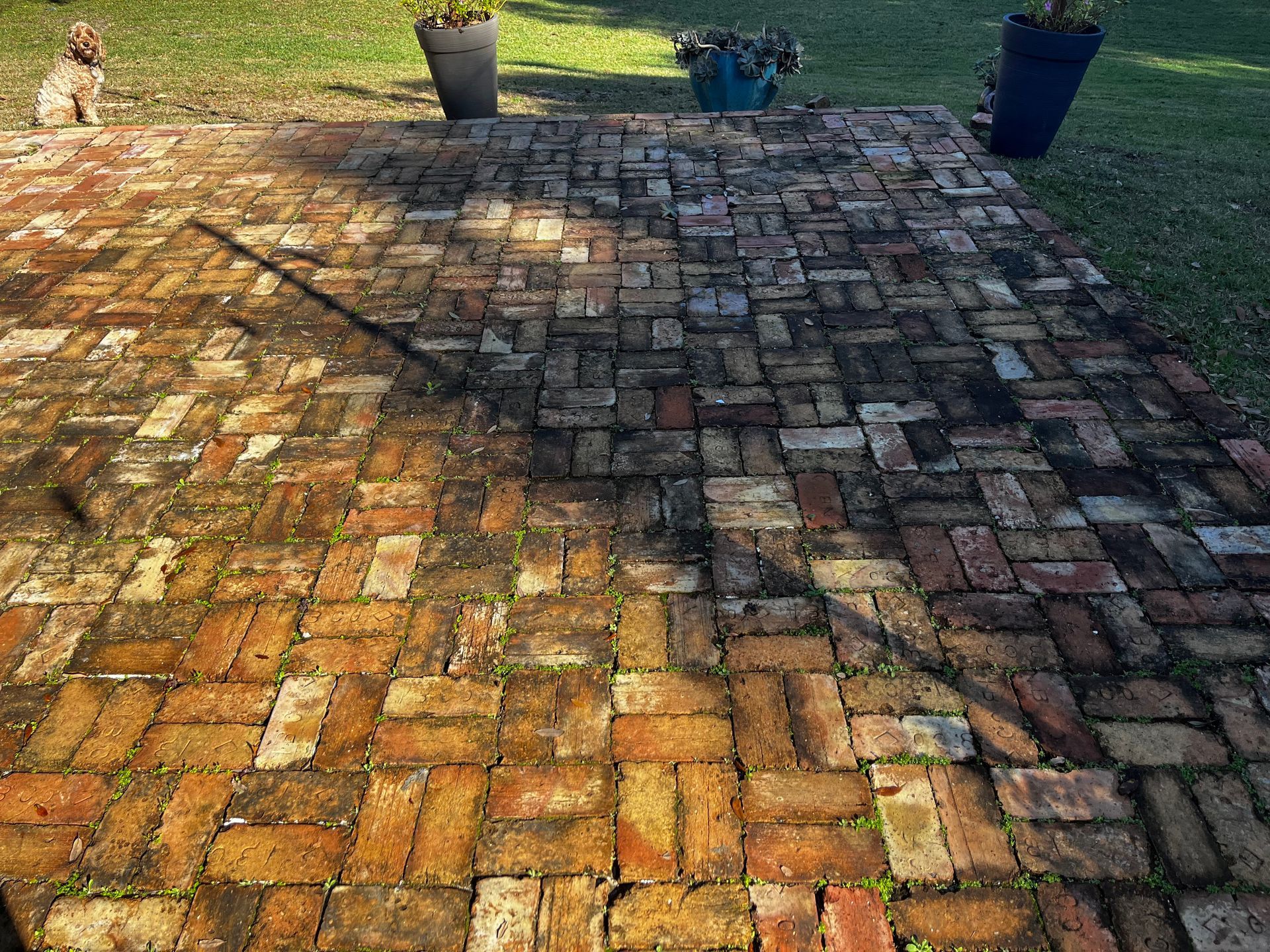A concrete driveway leading to a house with a lush green lawn.