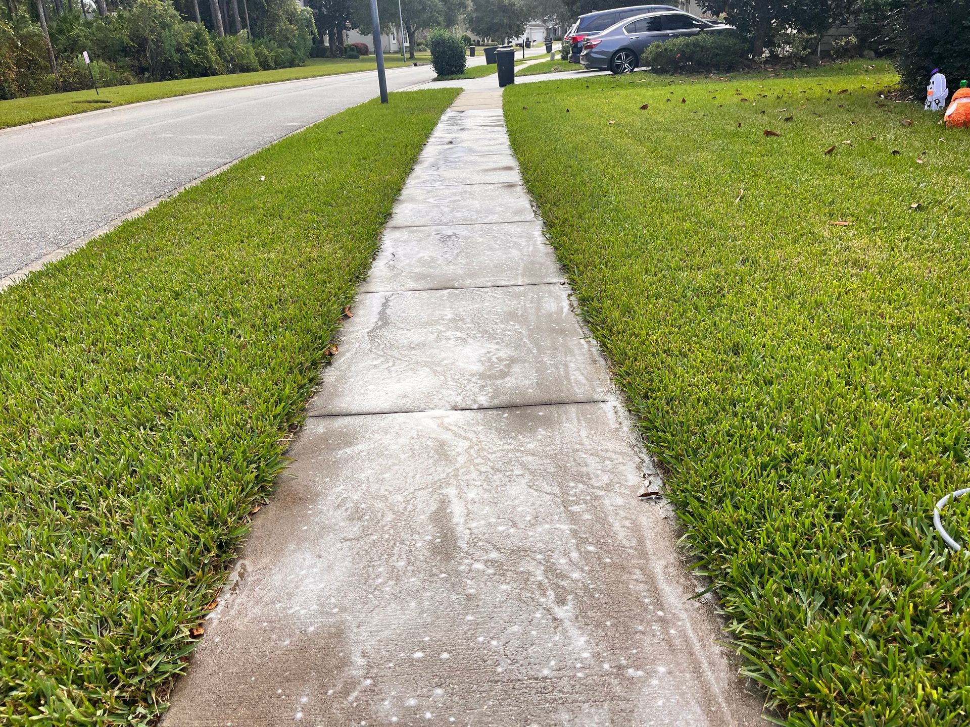 A sidewalk with a lot of grass on the side of it.
