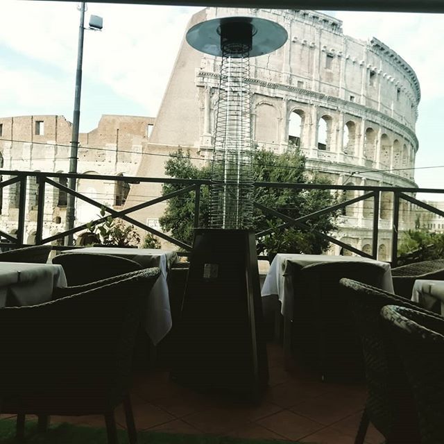 funghi per terrazzo esterno