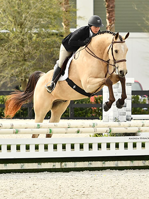 A person is riding a horse over a jump.