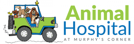 Animal Hospital At Murphy's Corner