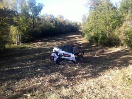 A bobcat is sitting in the middle of a field.