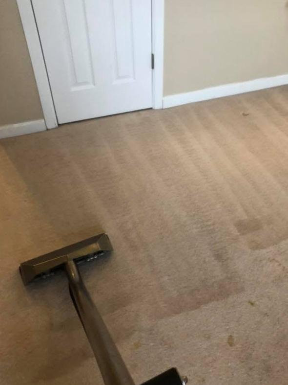 Carpet Cleaning Cleveland, Ohio