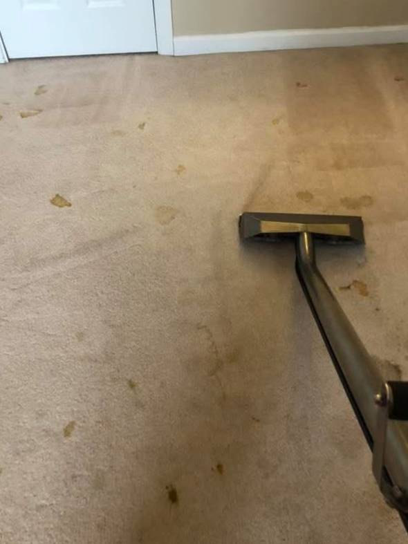 Carpet Cleaning Cleveland, Ohio