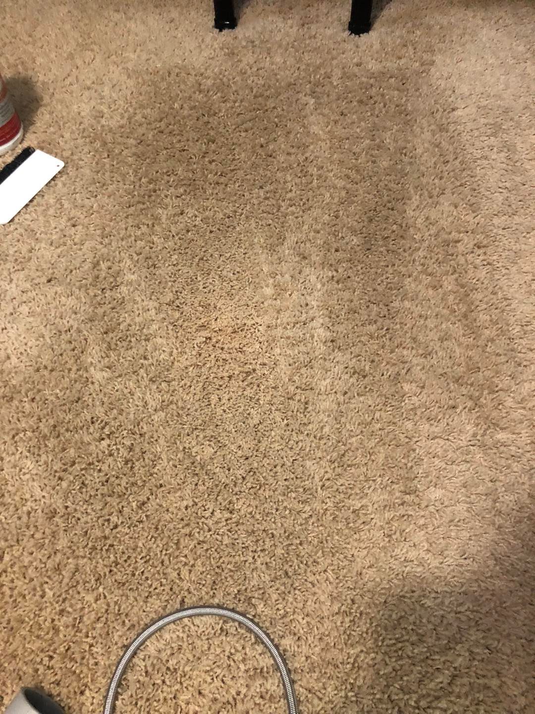 A close up of a tan carpet with a stain on it.