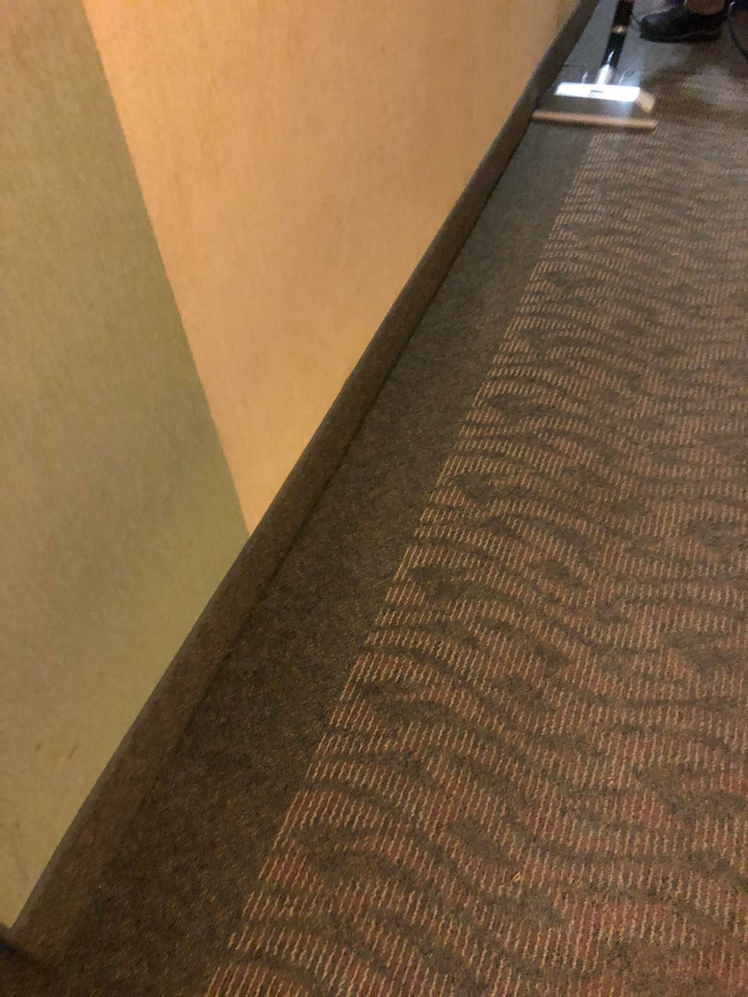 A person is standing on a carpeted floor next to a wall.