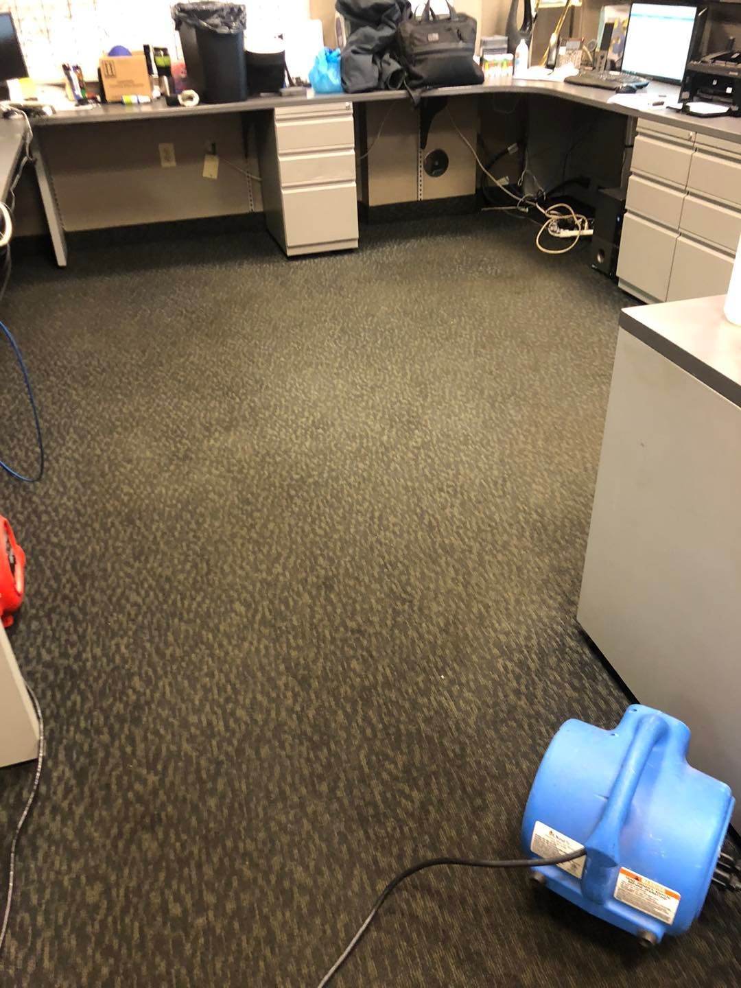 A blue vacuum cleaner is sitting on the floor of an office.