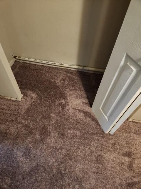 A closet with a door open and a carpeted floor.