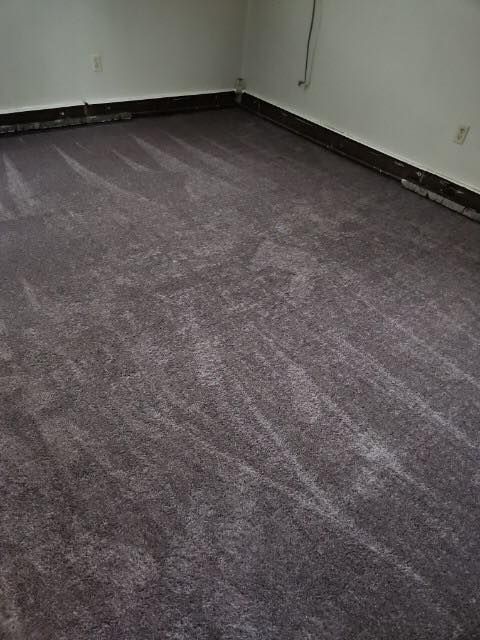 A room with a purple carpet and white walls.