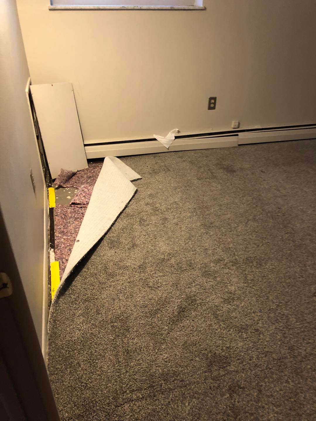 A room with a carpet on the floor and a window.