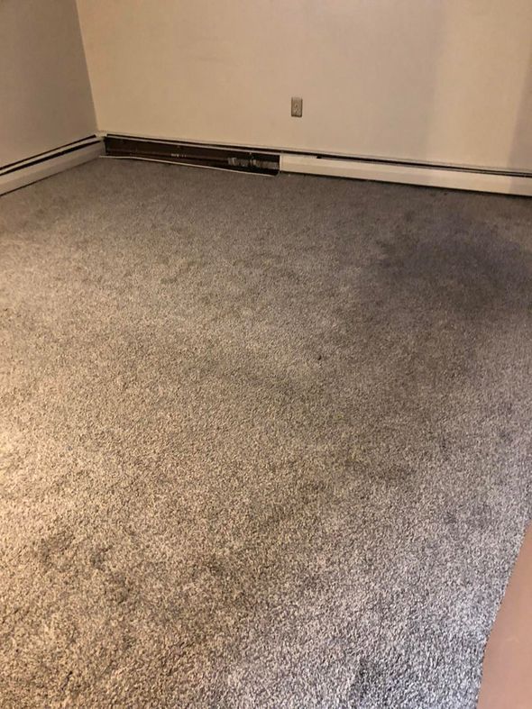 A room with a gray carpet and a white wall