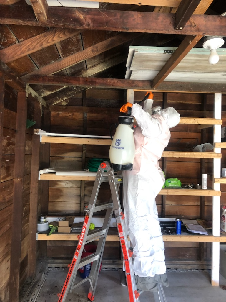 A person is standing on a ladder in a wooden room holding a spray bottle.