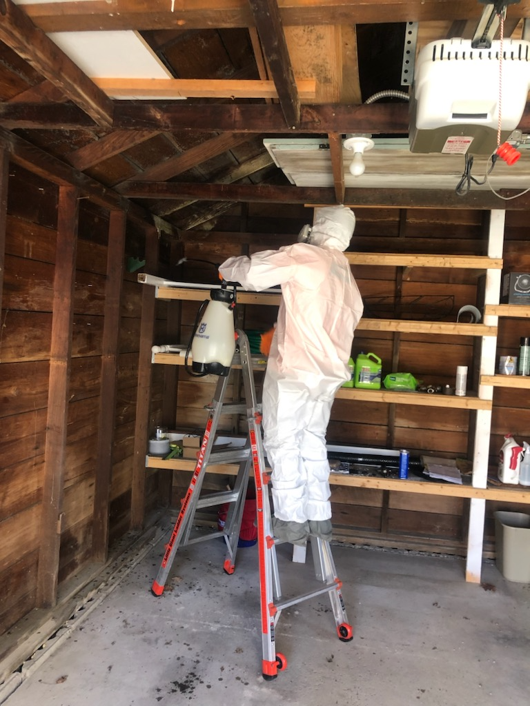 A man in a bee suit is standing on a ladder in a garage.