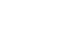 Avenger Services