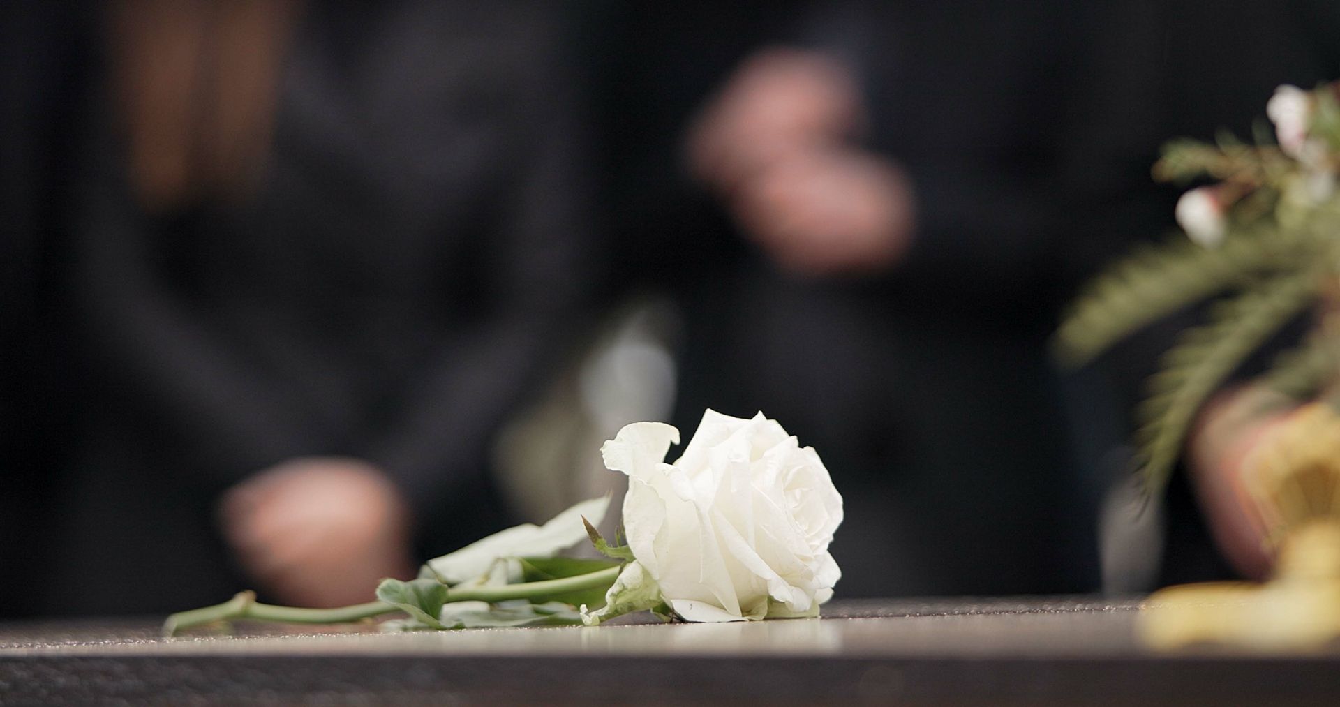 White rose lies on a surface; people in black clothes are blurred in background.