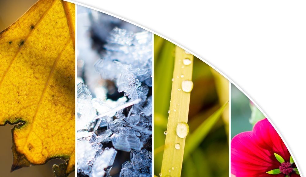 Contact us for tree removal in Reading and throughout Berks County, PA