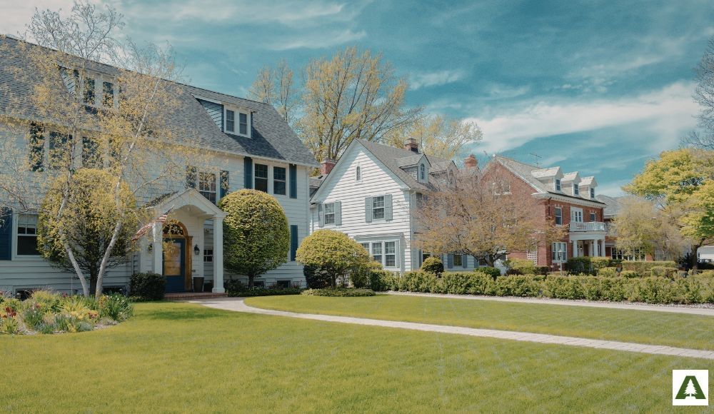 Contact us for tree removal in the greater Reading, Allentown and Bethlehem area.