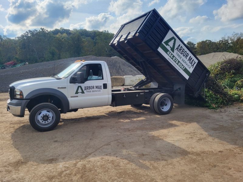 Lot Clearing & Brush Removal Services in Berks, Chester, Montgomery, Lancaster County