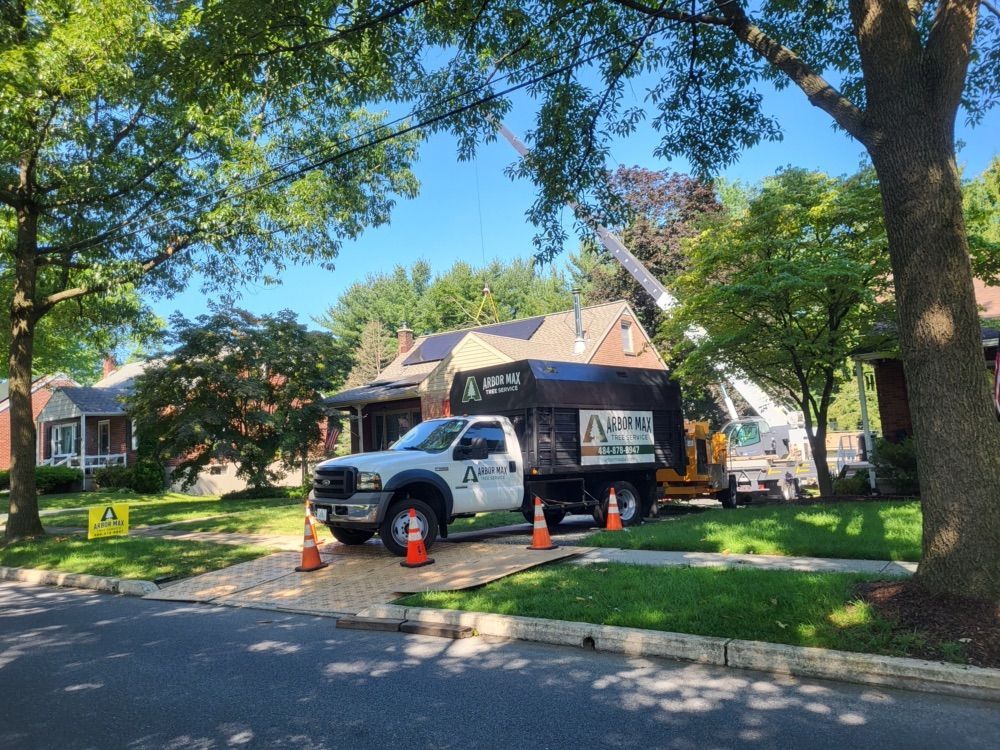 Crane-assisted tree removal services