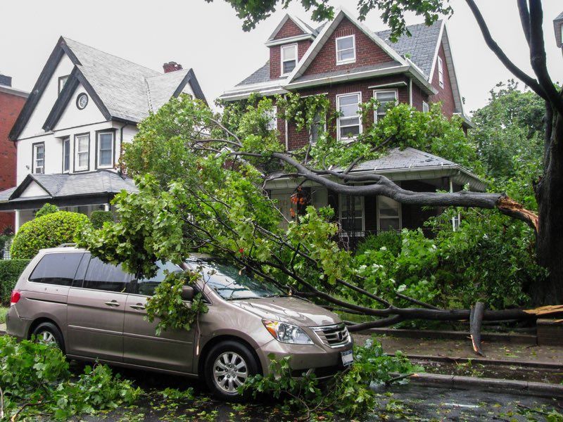 Emergency Tree Removal in in Berks, Chester, Montgomery, Lancaster County.